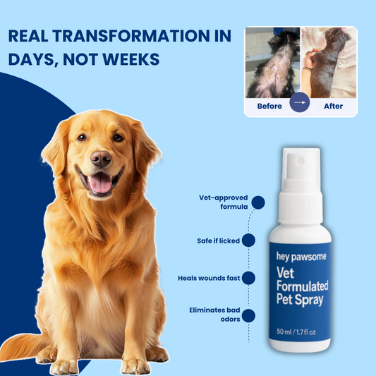HeyPawsome™ - The instant relief your dog needs